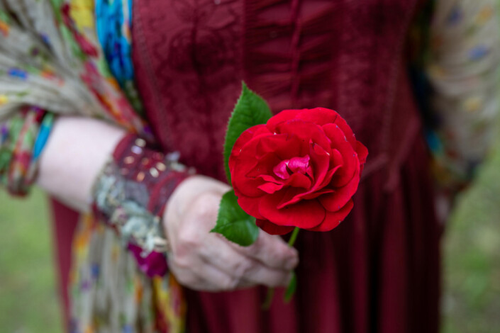 Rose